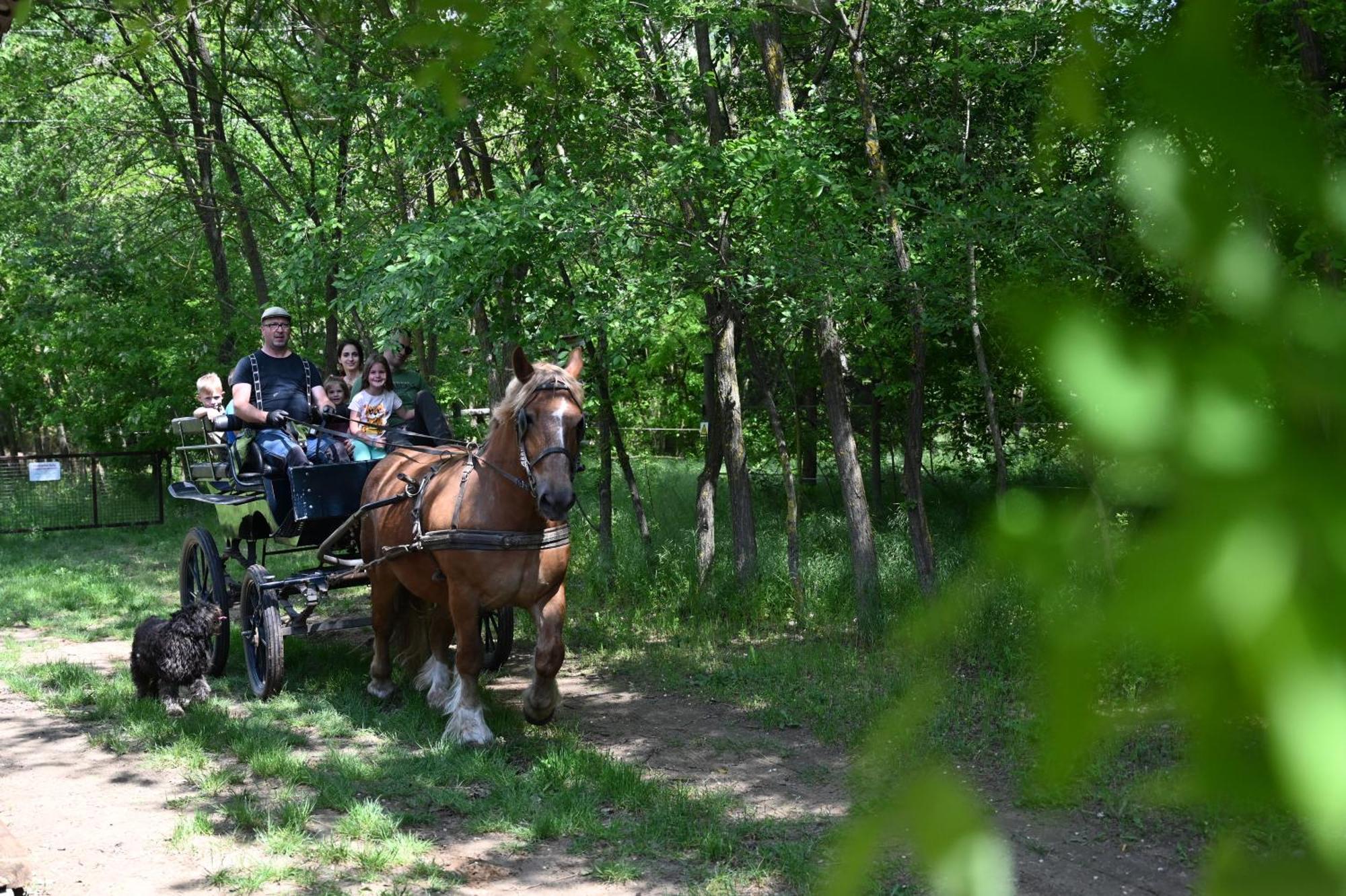 Gidran Major Hotel Újlengyel Buitenkant foto